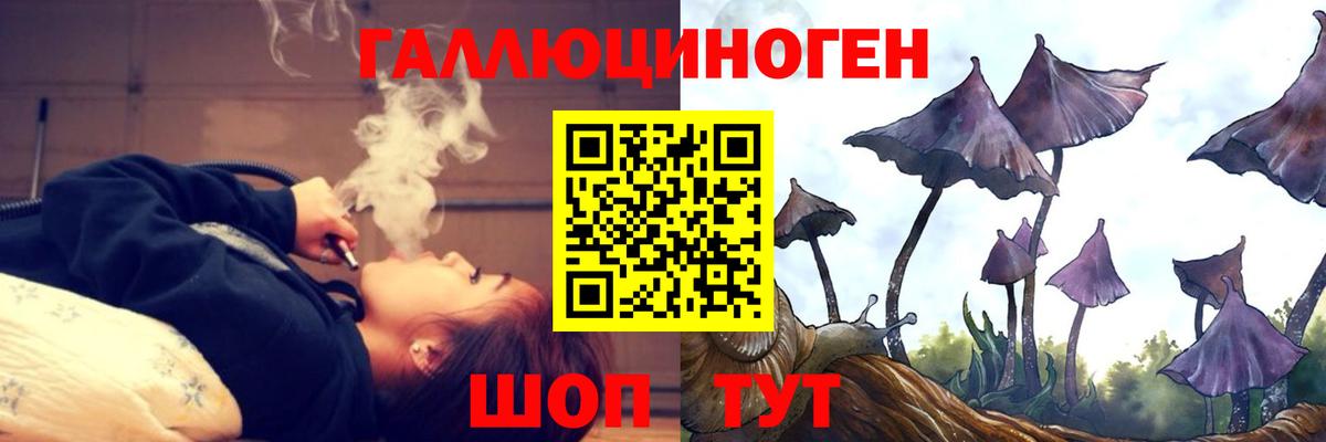 купить закладку  Галлюциногенные грибы прущие грибы  Вход с VPN  Псилоцибиновые грибы GOLDEN TEACHER  Новоалександровск 