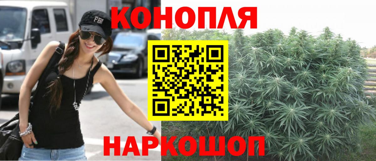Бошки марихуана план Новоалександровск